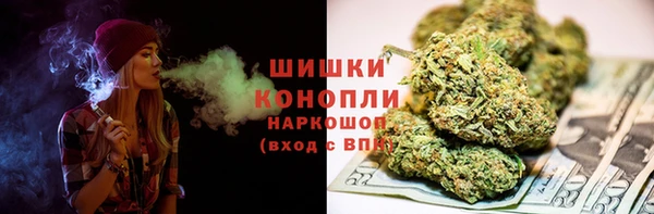тгк Бородино