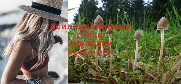 тгк Бугульма