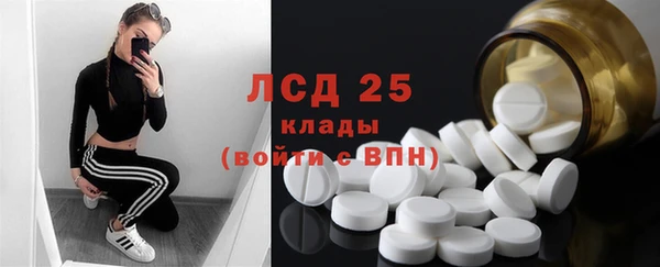 тгк Бородино