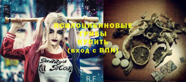 круглые Бронницы