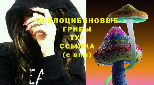 тгк Бородино