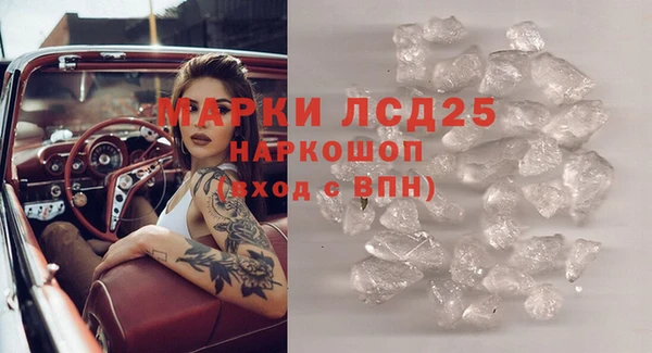 тгк Бородино