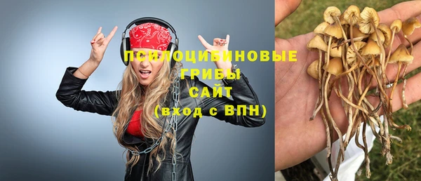 тгк Бугульма