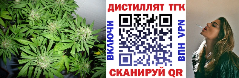 ТГК концентрат Тамбов